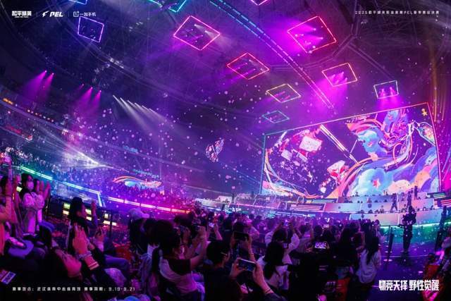 从PEL夏决，看和平精英赛事生态的良性循环