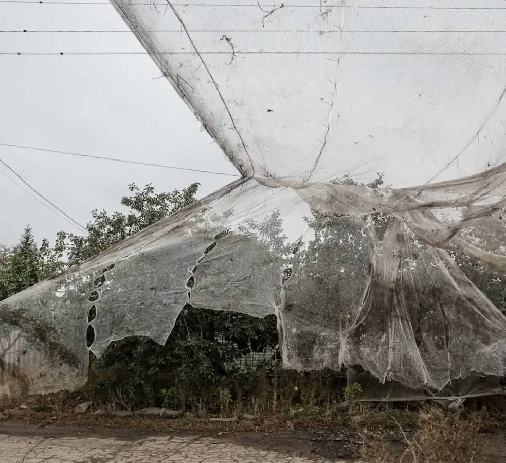 战场生存率提升40%？五张照片揭示俄乌战场最实用的低空防御体系——防护网如何成为FPV无人机的天敌！