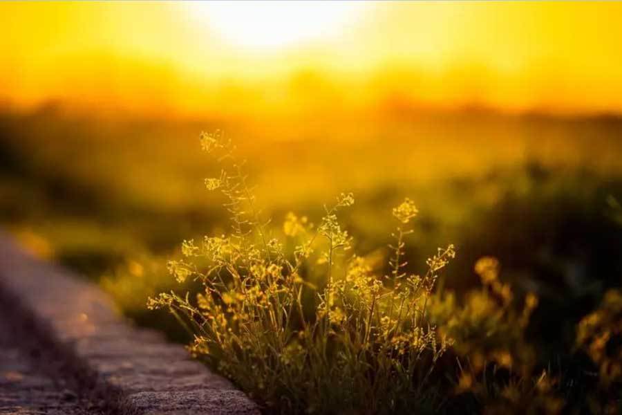 音乐主题博物馆开馆展示音乐发展历程